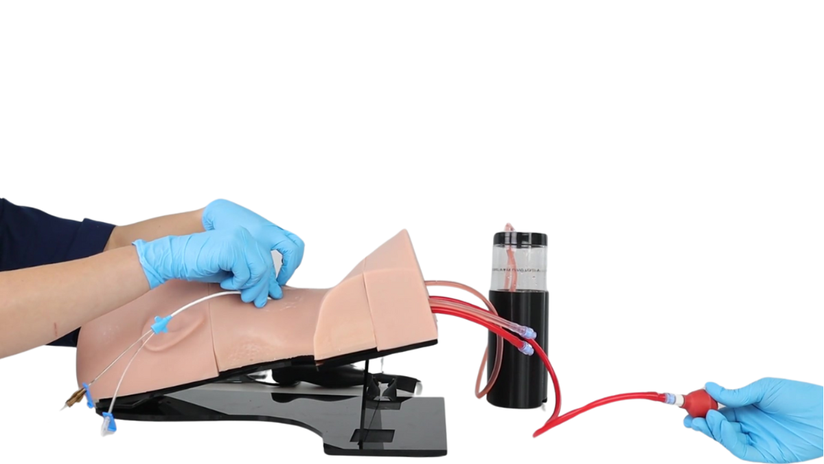 TruCVC | Central Line Task Trainer | TruCorp | Limbs & Things US