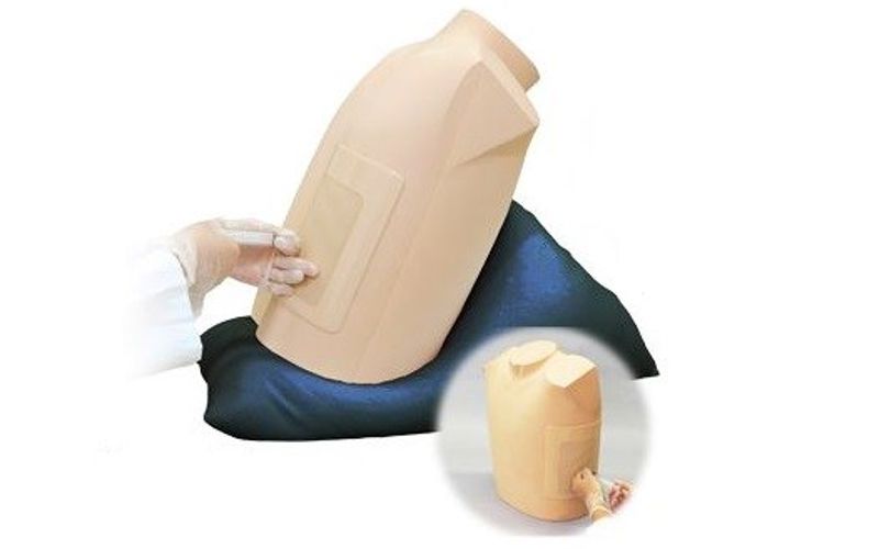 Ultrasound Guided Pericardiocentesis Simulator | Limbs & Things UK
