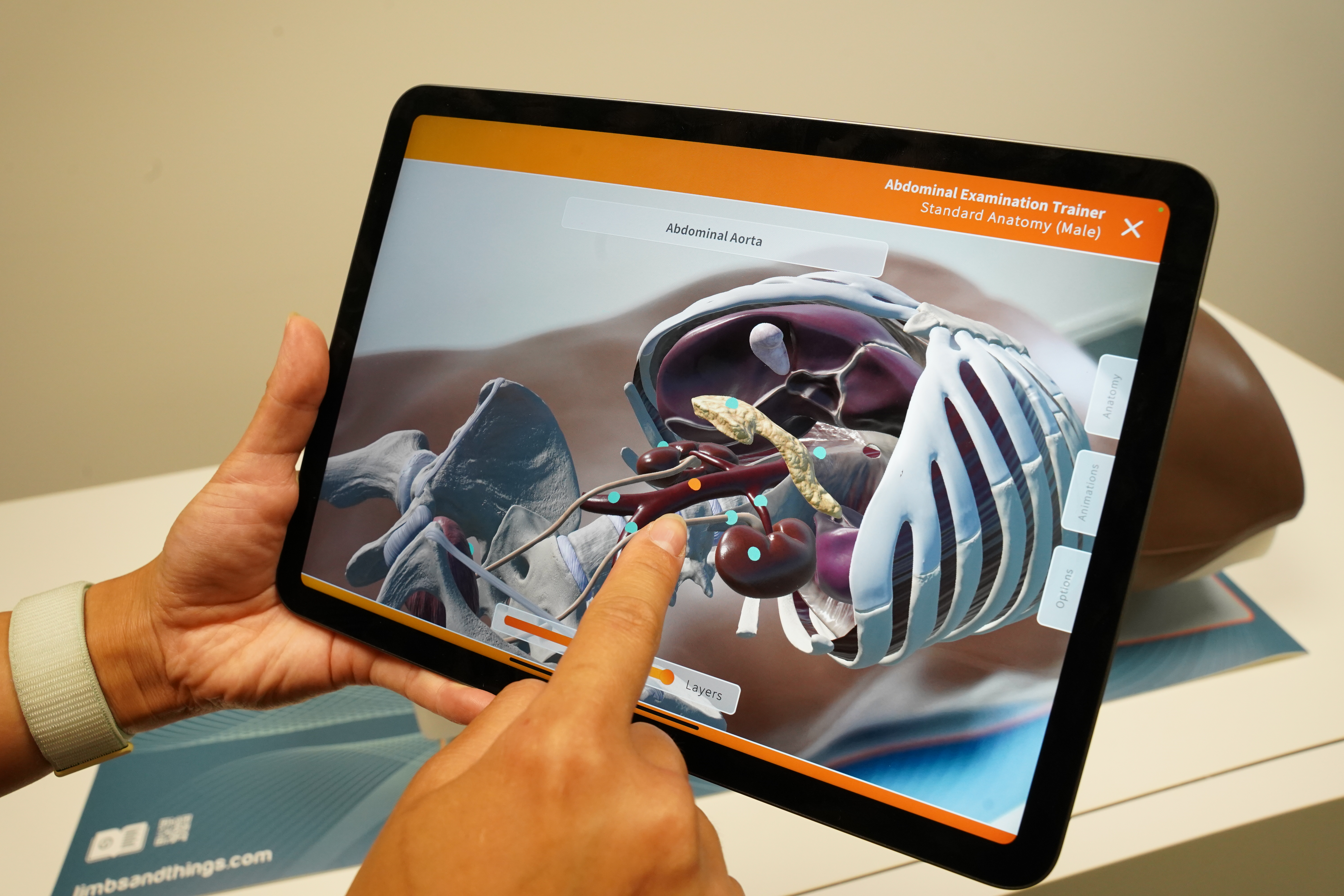 Motion Palpation of the Extremity 上下巻セット Motion Palpation of the Extremity 上下巻セット Motion Palpation of