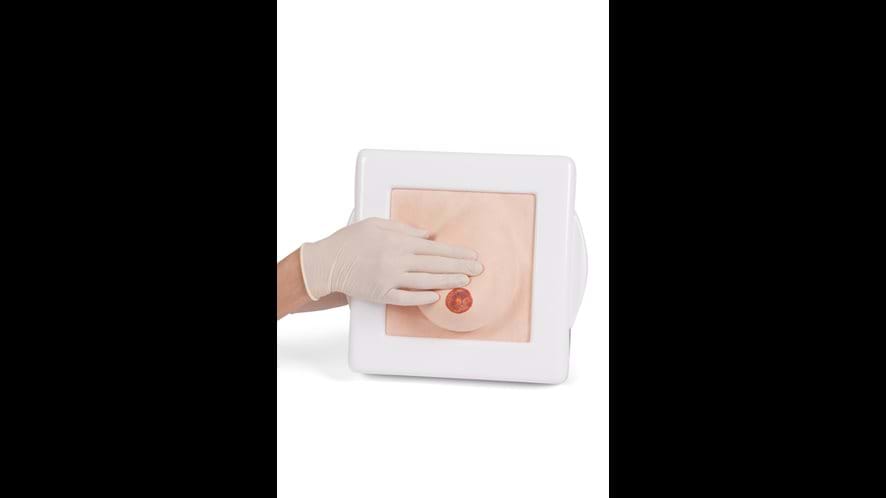 This Breast Trainer allows for the simulation of benign cyst aspiration and identification of pathologies.