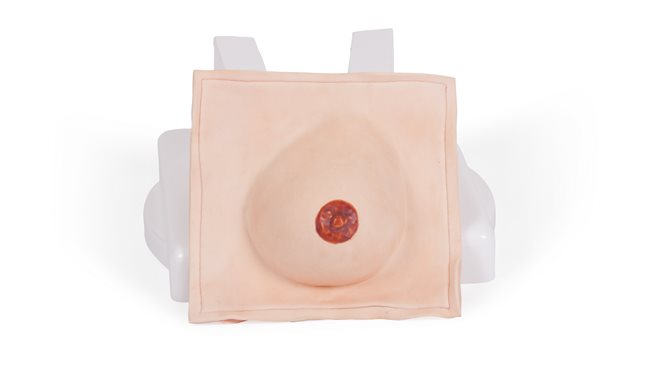 Replacement skin & breast tissue for the Examination & Diagnostic Breast Trainer (40044).