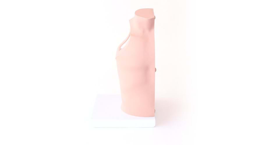 Torso for the Shoulder Injection Trainer Palpation Guided in Light Skin Tone 
