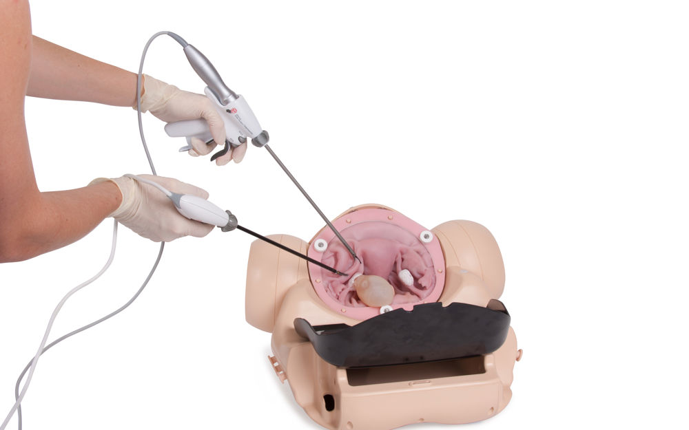 OB/GYN Laparoscopic Surgery Practice Using Surgical Female Pelvic ...