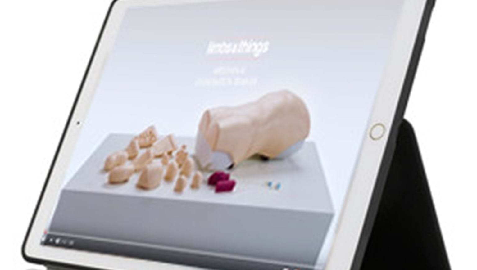 Limbs & Things launches Abdominal Examination Trainer
