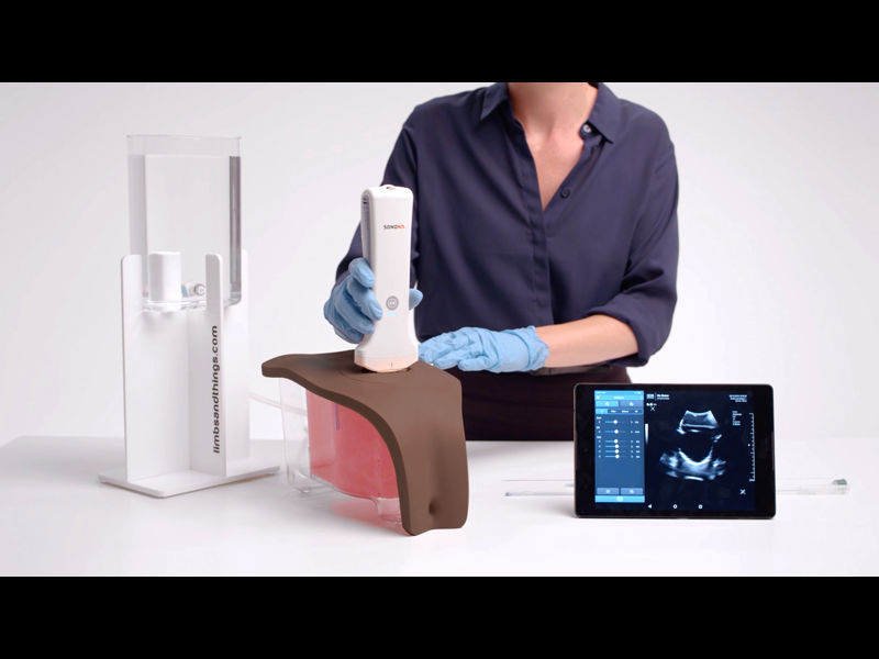 Suprapubic Inner Device Suprapubic Insertion (Ultrasound Guided) Unit (Dark Skin Tone) | Limbs ...
