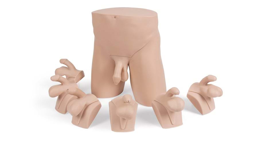 Advanced clinical male pelvic trainer in light skin tone that simulates multiple testicular pathologies for nurses and healthcare practitioners including varicoceles and carcinoma  