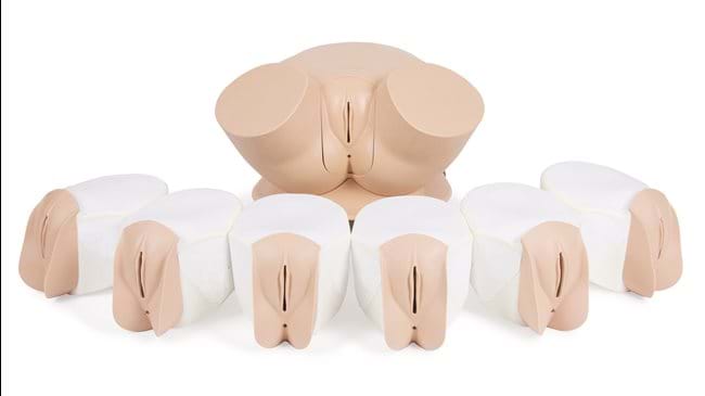 The Advance model of our Female Pelvic Trainer comes with 7 uterine modules which can be use for undergraduate training and beyond.