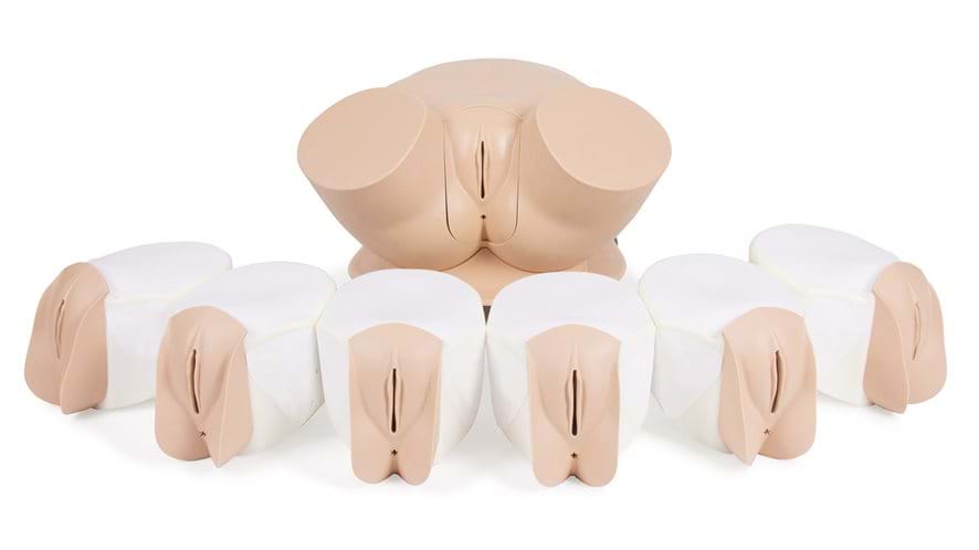 The Advance model of our Female Pelvic Trainer comes with 7 uterine modules which can be use for undergraduate training and beyond.
