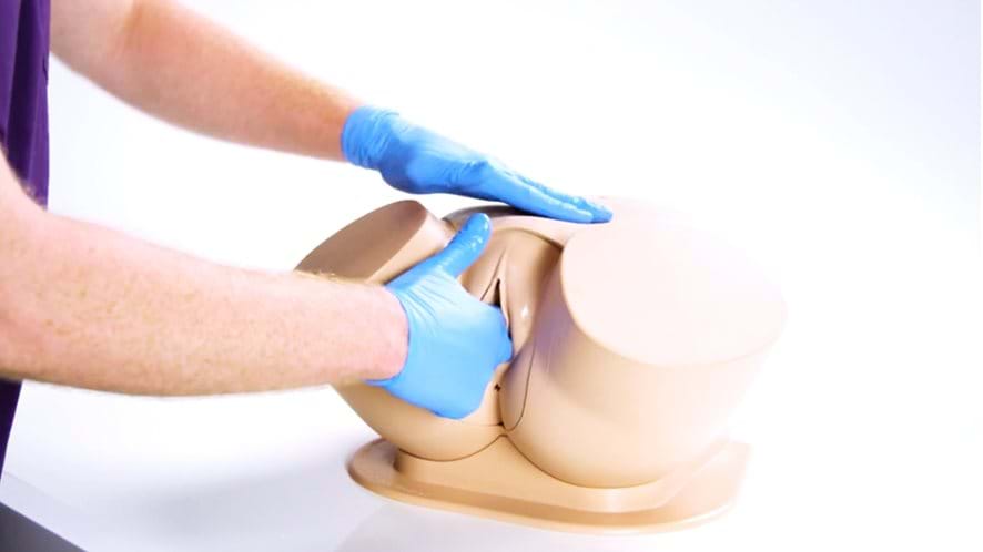 The clinical female pelvic trainer standard version for female pelvic examination simulation 