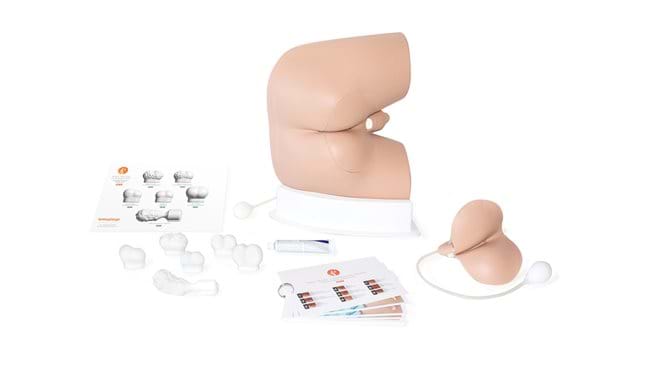 Male Rectal Examination Trainer Advanced in Light Skin Tone for rectal and prostate examination simulation with pathologies 
