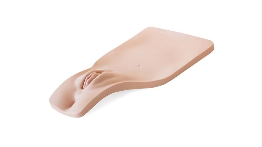 Replacement Female Perineum for the Female Catheterization Trainer.