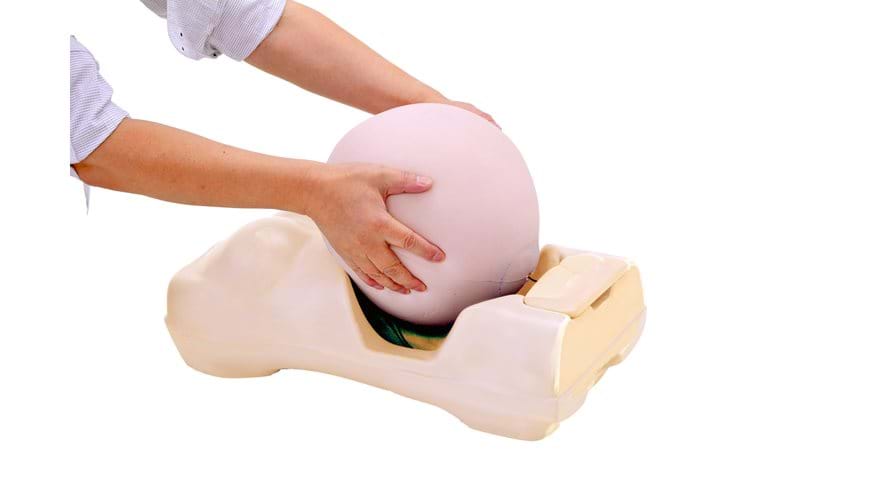 Obstetric Examination Trainer foetal removal 