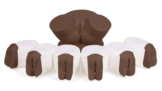 Our Advanced CFPT Mk3 (Dark Skin Tone) comes with the Standard Nulliparous Cervix, and 6 additional uterine modules.
