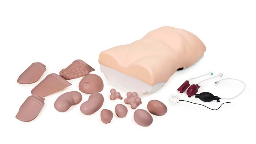 The Abdominal Examination Trainer in the Light skin tone with removable organs