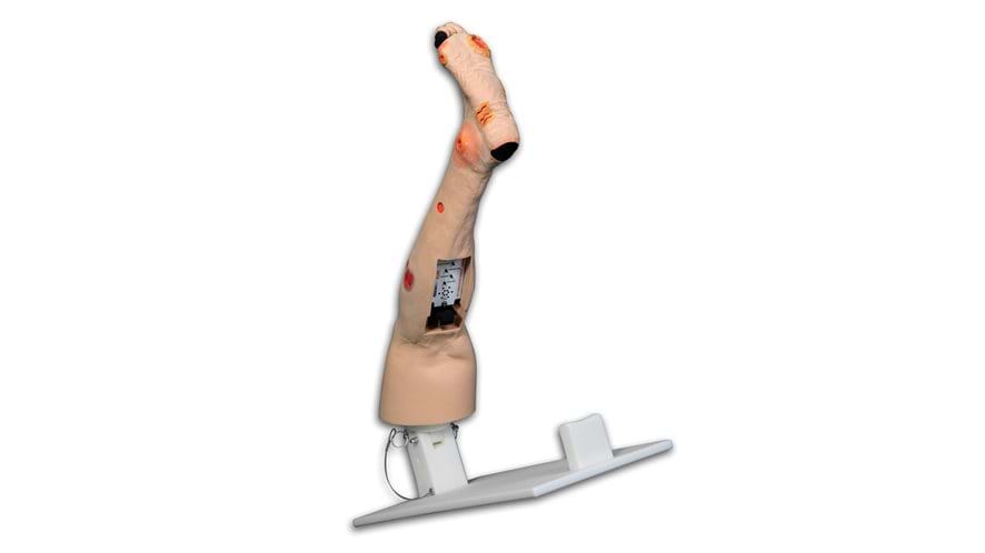 Annie Arterial Insufficiency Leg Model with clamp that allows leg pivot