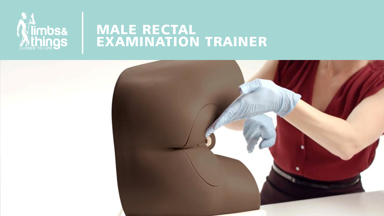 男性直肠指诊检查训练模型 - CN