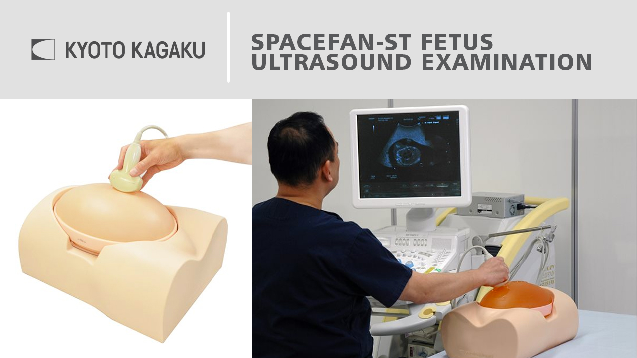 KK Fetus Ultrasound Examination Phantom