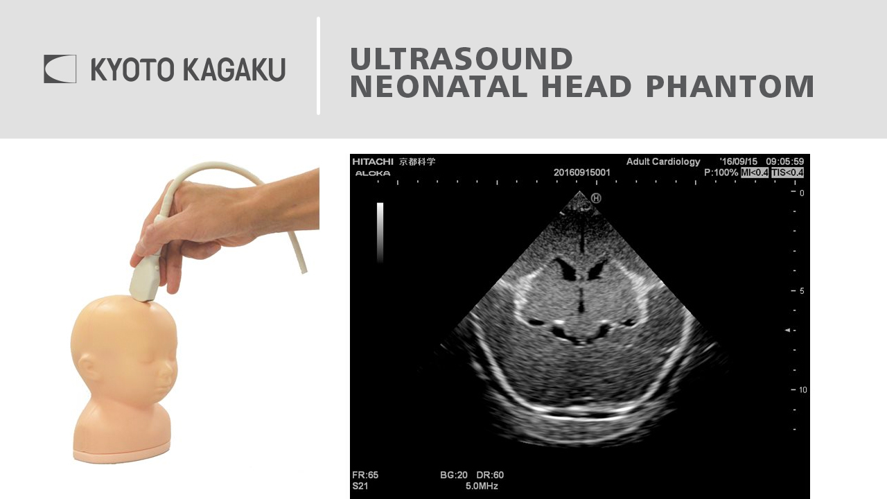 KK Ultrasound Neonatal Head Phantom Range