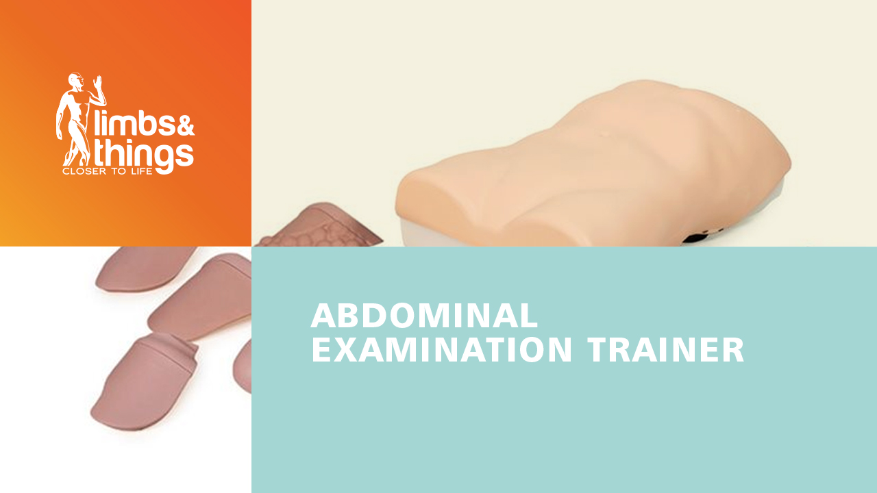 Abdominal Examination Trainer