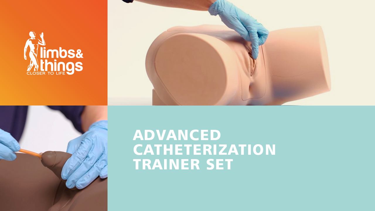Advanced Catheterization Trainer