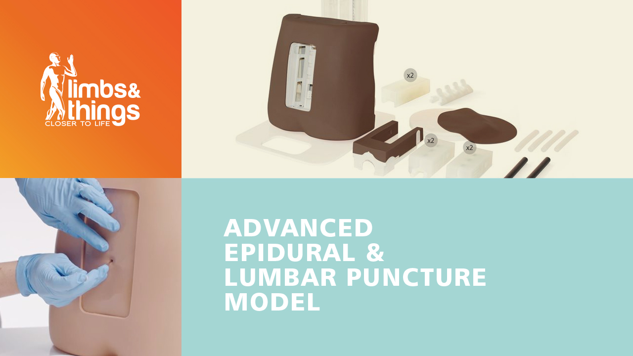 Advanced Epidural & Lumbar Puncture Model