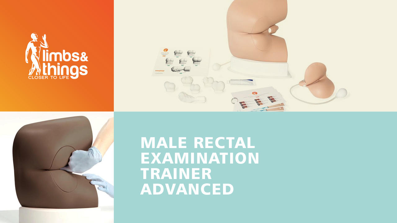 Advanced Male Rectal Examination Trainer