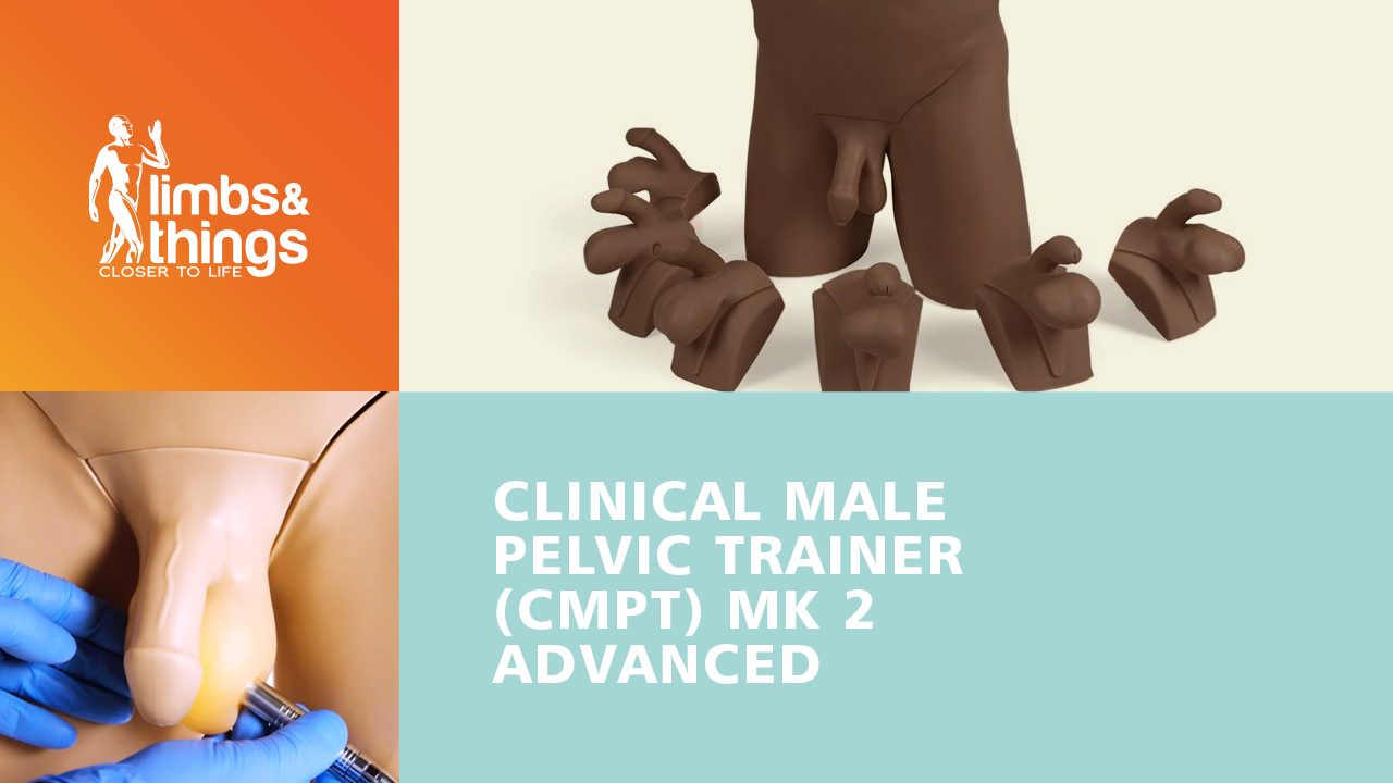 临床用男性 (CMPT) Mk 2 高级版