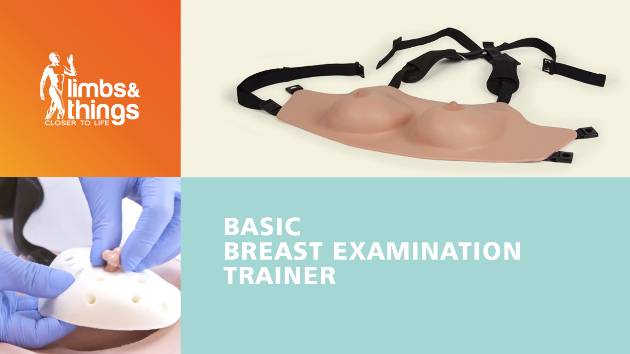 Basic Breast Examination Trainer