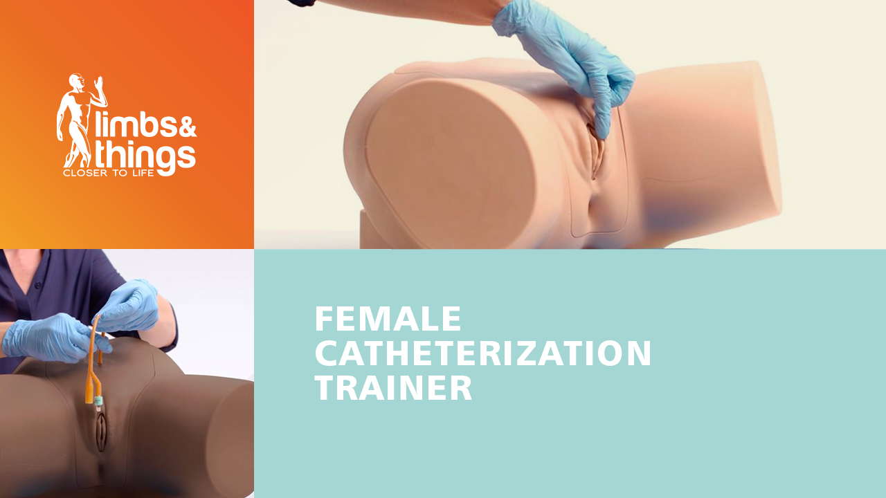 Female Catheterization Trainer
