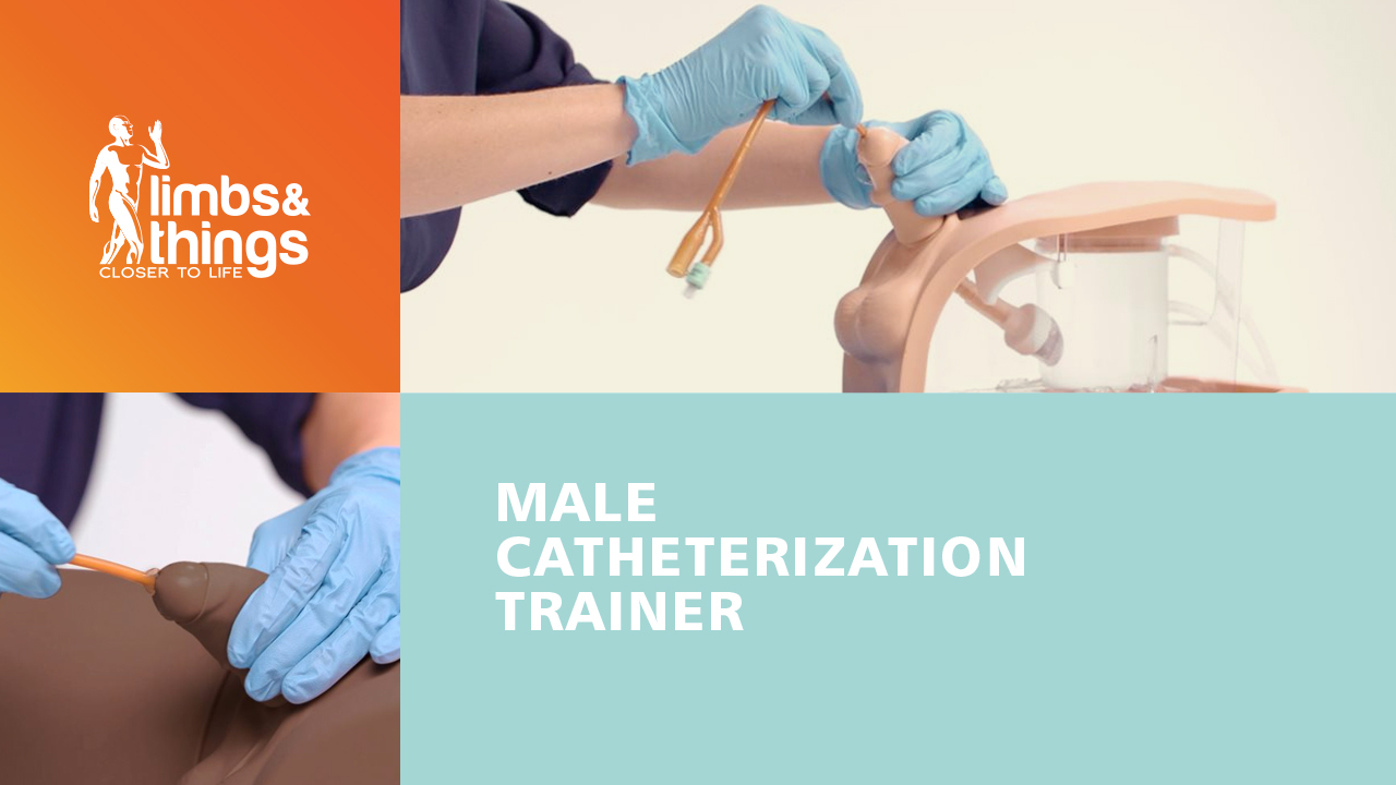 Male Catheterization Trainer