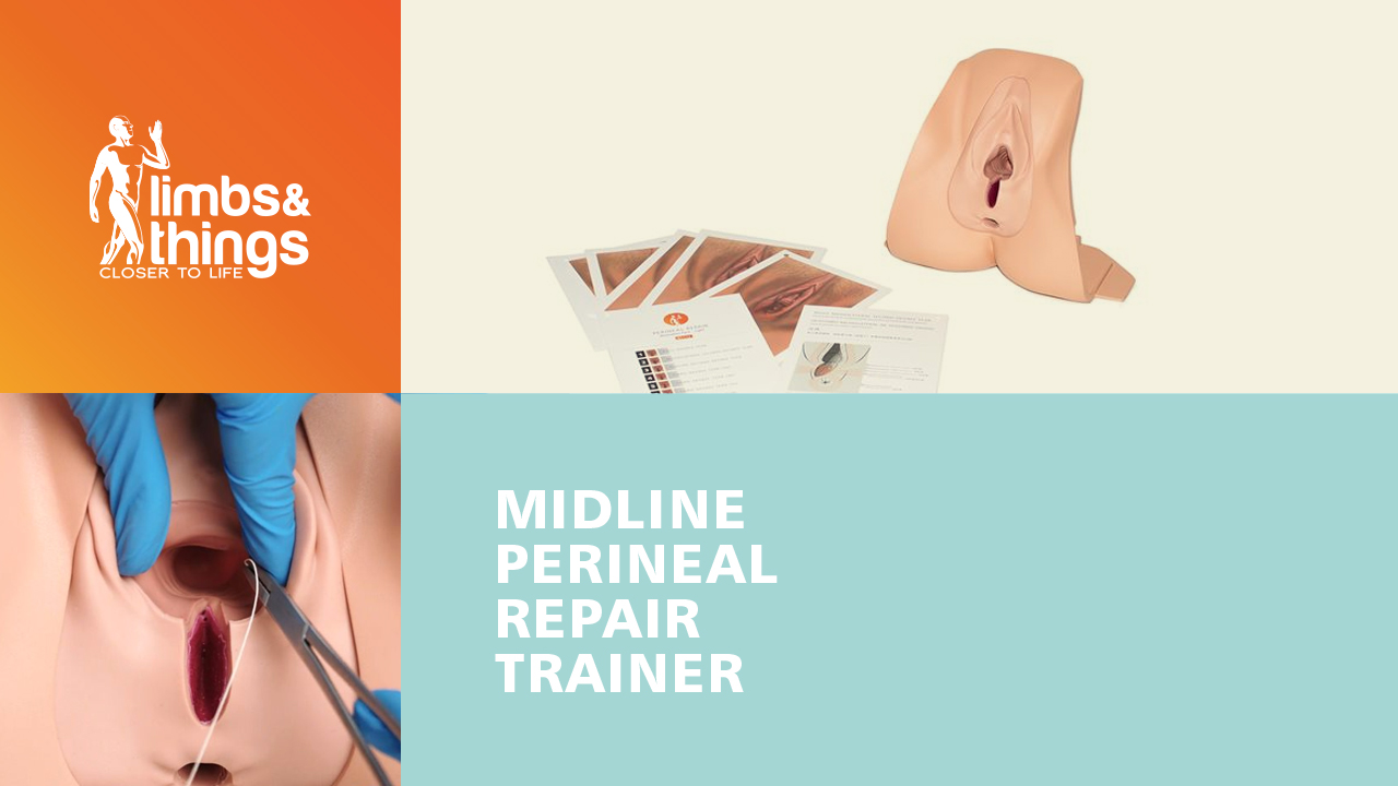 Midline Perineal Repair Trainer