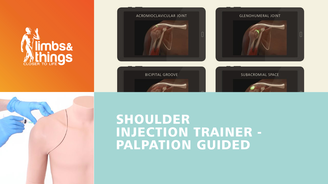Palpation Shoulder Injection Trainer
