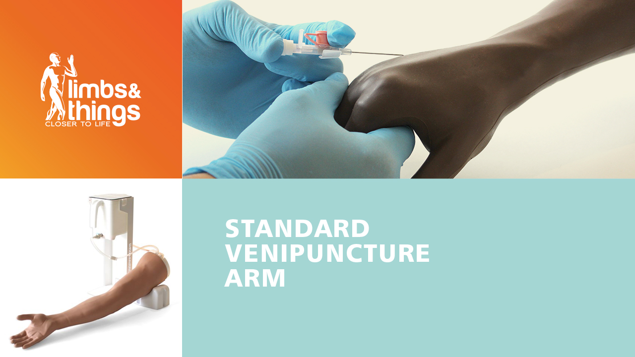 Standard Venipuncture Arm