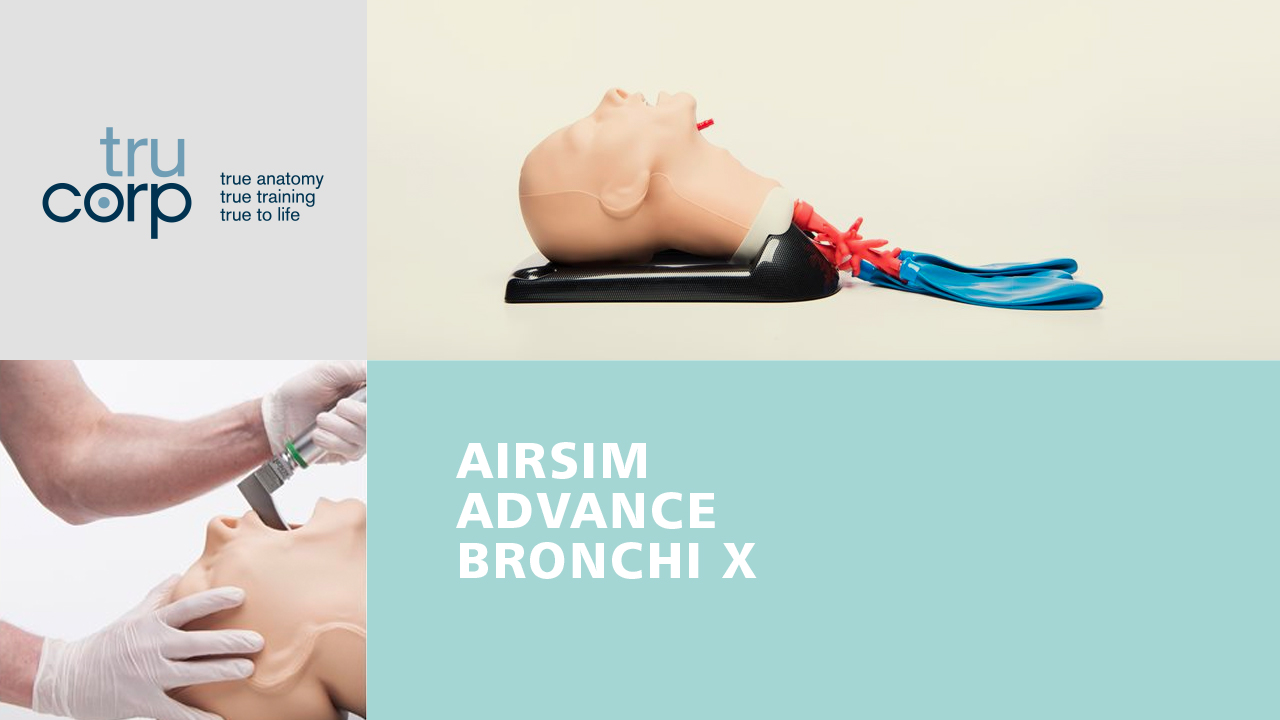 Airsim Advance Bronchi X