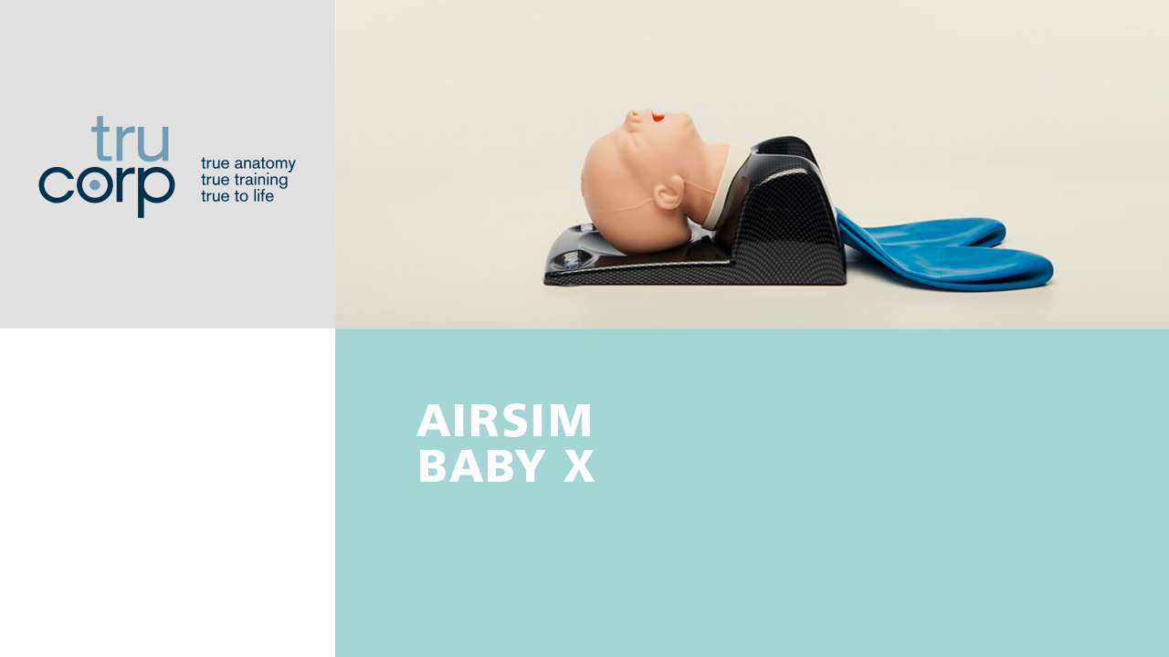 AirSim Baby X