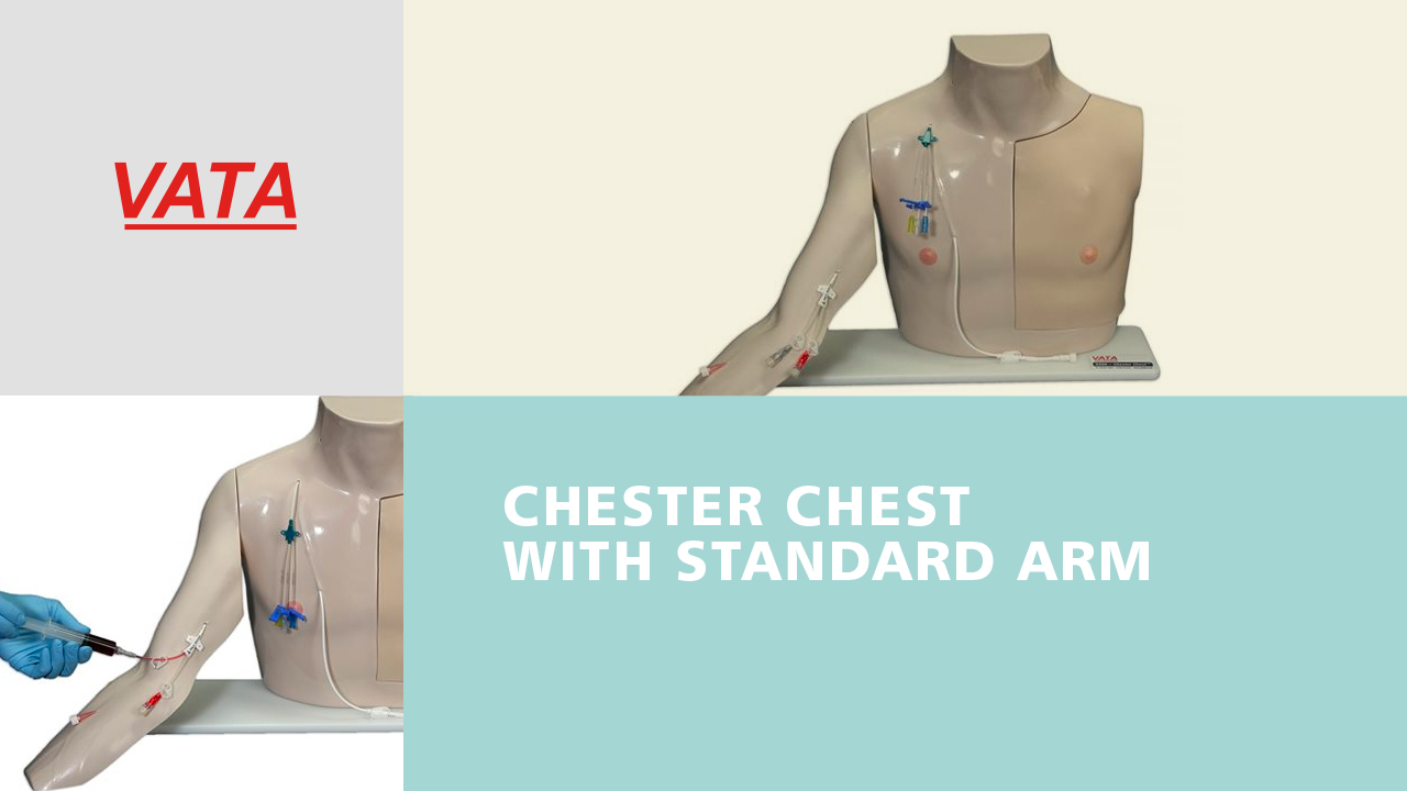 Chester Chest™