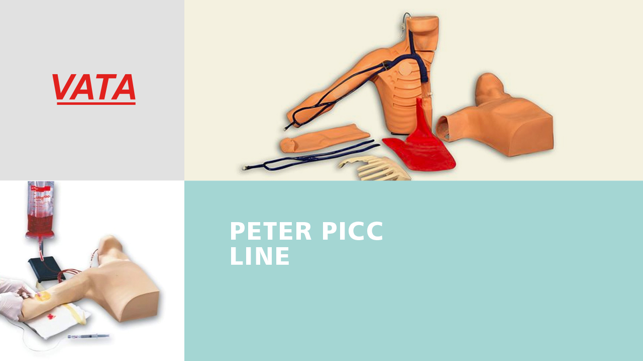 Peter PICC Line™