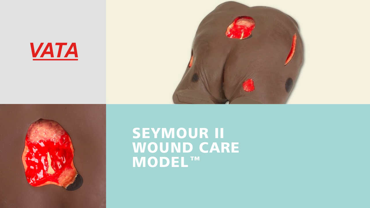 Seymour II ™ Wound Care Model