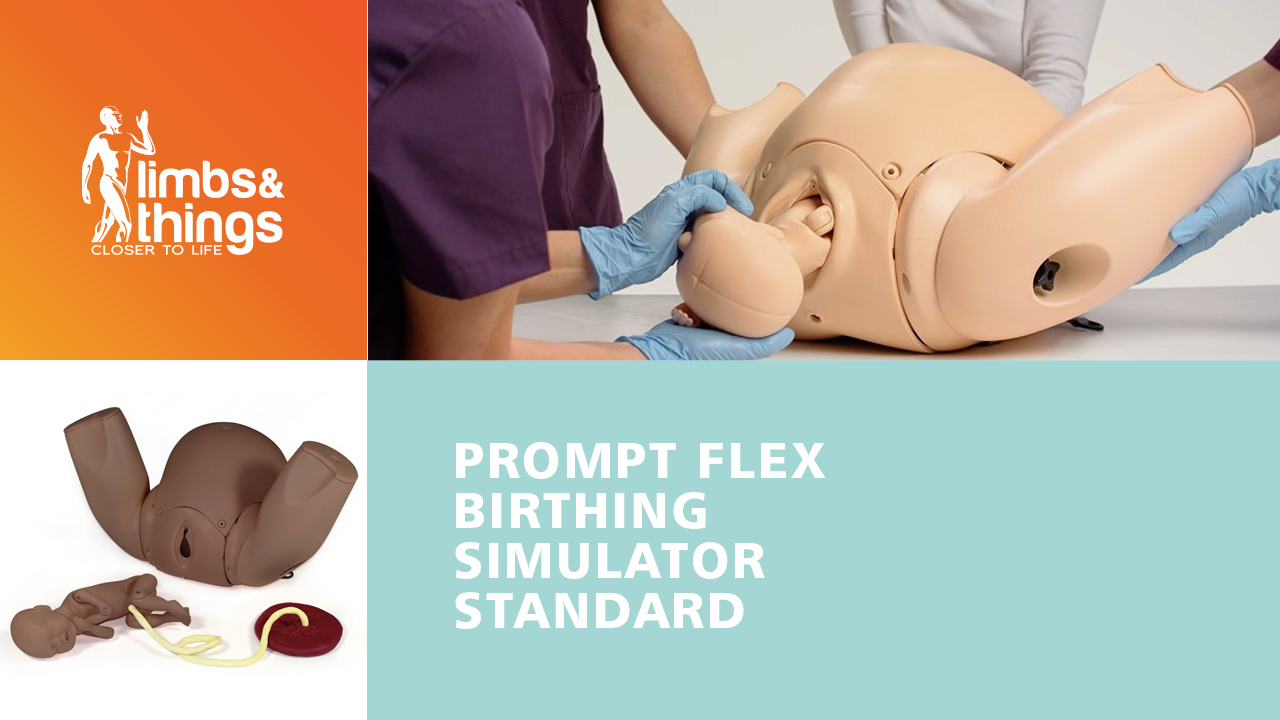 PROMPT Flex 分娩培训模型 - 标准版
