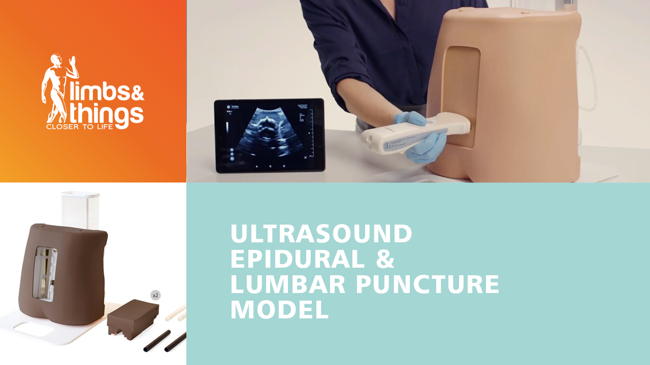 Ultrasound Epidural & Lumbar Puncture Model