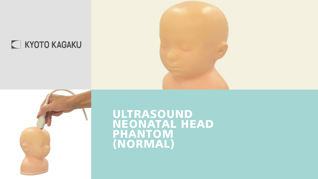 KK Ultrasound Neonatal Head Phantom (Normal type)