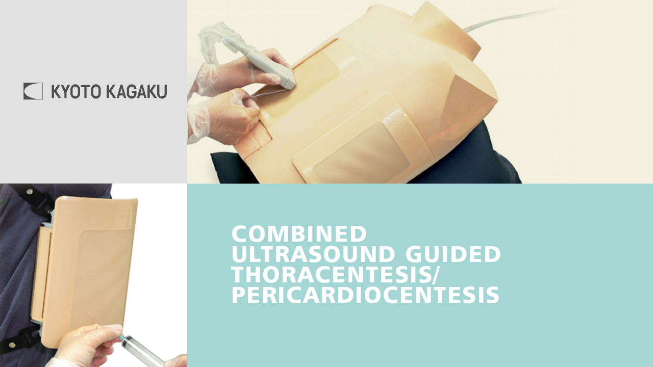 KK Ultrasound Guided Thoracentesis/Pericardiocentesis Simulator