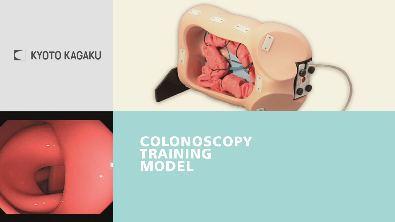 KK Colonoscopy Training Model