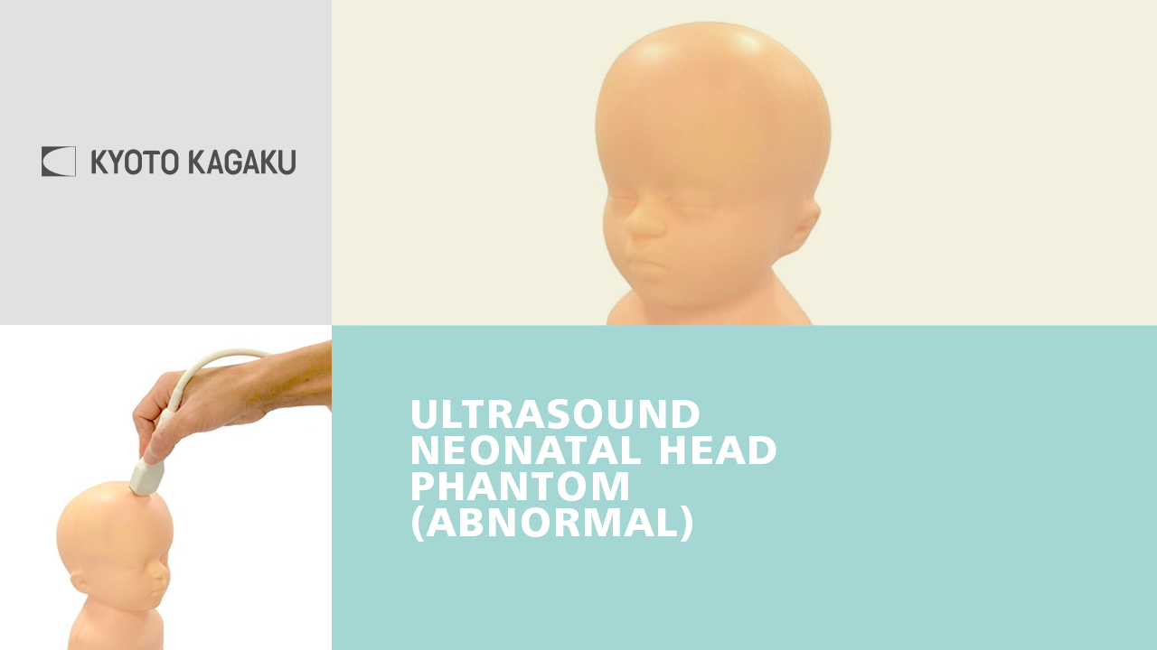 KK Ultrasound Neonatal Head Phantom (Abnormal type)