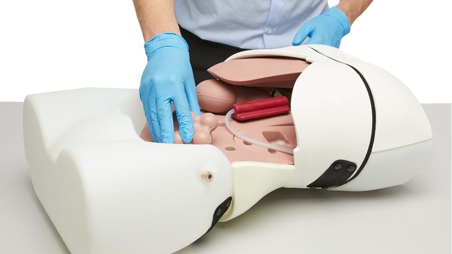 The Abdominal Examination Trainer comes with interchangeable organs and pathologies