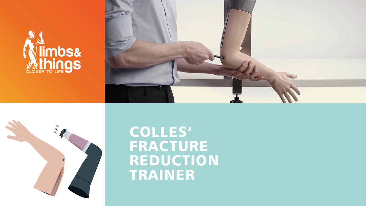Colles' Fracture Reduction Trainer