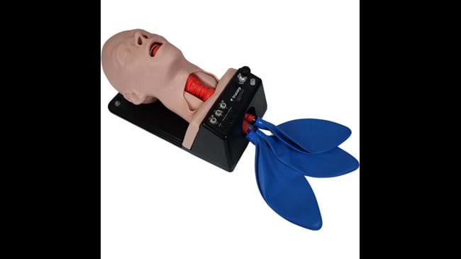 Airsim Difficult Airway Training Manikin without neck skin for procedures on the larynx