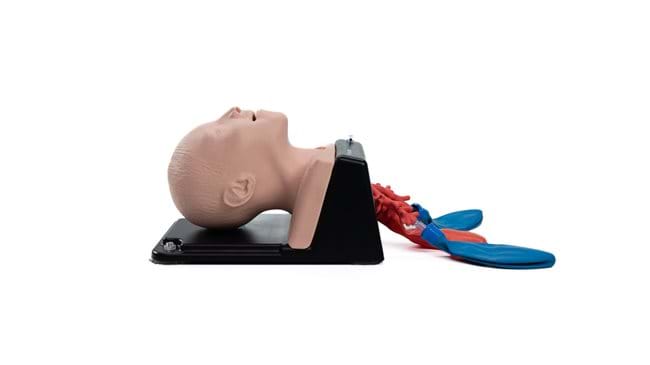 AirSim Bronchi Airway management simulator of a child's airway from Trucorp