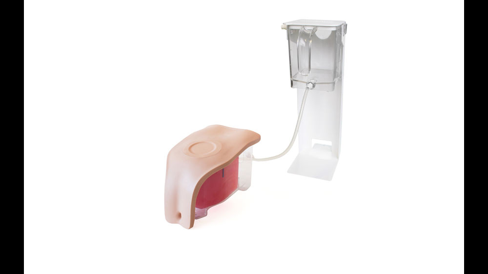 Suprapubic Inner Device Suprapubic Insertion (Ultrasound Guided) Unit (Light Skin Tone) | Limbs ...