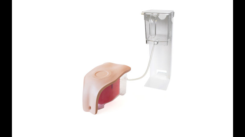 Suprapubic Inner Device Suprapubic Insertion (Ultrasound Guided) Unit (Light Skin Tone) | Limbs ...